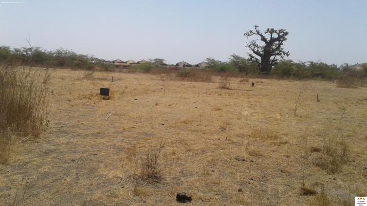 Terrains à vendre à Pointe Sarène