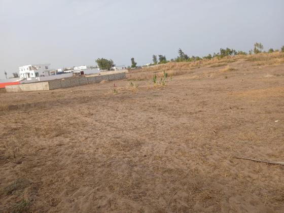 Deux Terrains de 300m² à vendre à Pointe Sarène