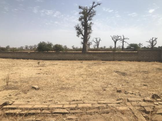 Votre Futur Domaine de 1024 m² entre Nature et Accessibilité À Nguékokh