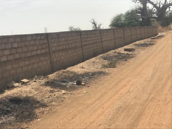 3 Hectares Exceptionnels aux Portes de Bandia