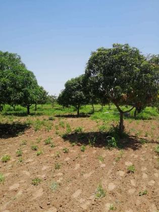 OPPORTUNITÉ FONCIÈRE : 1,7 HECTARE À HAUT POTENTIEL (PROXIMITÉ SIDIBOUGOU)