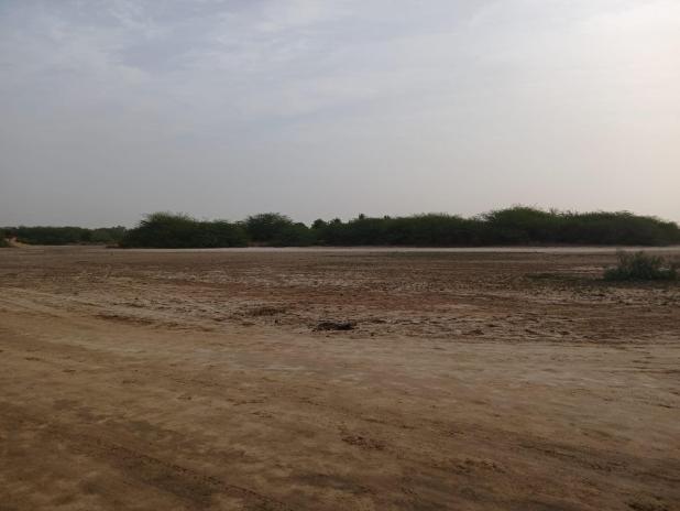 Lot de Terrains de 225m² à Vendre à Nianing