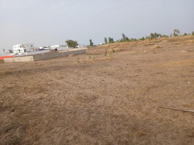 Deux Terrains de 300m² à vendre à Pointe Sarène