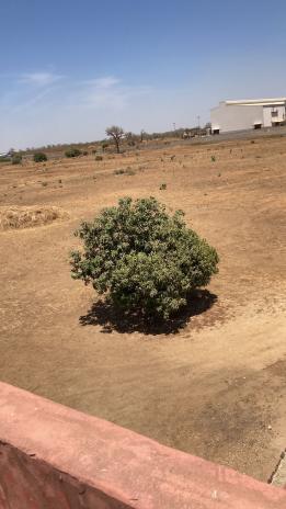 10 HECTARES STRATÉGIQUES À VENDRE À BANDIA